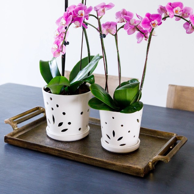 ceramic orchid pot